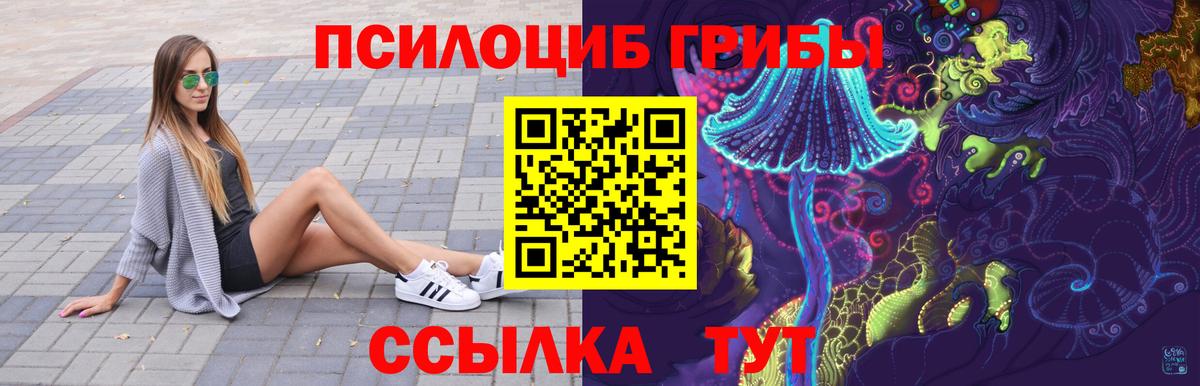 Псилоцибиновые грибы мицелий  Псилоцибиновые грибы ЛСД  Шатура  Вход с VPN 